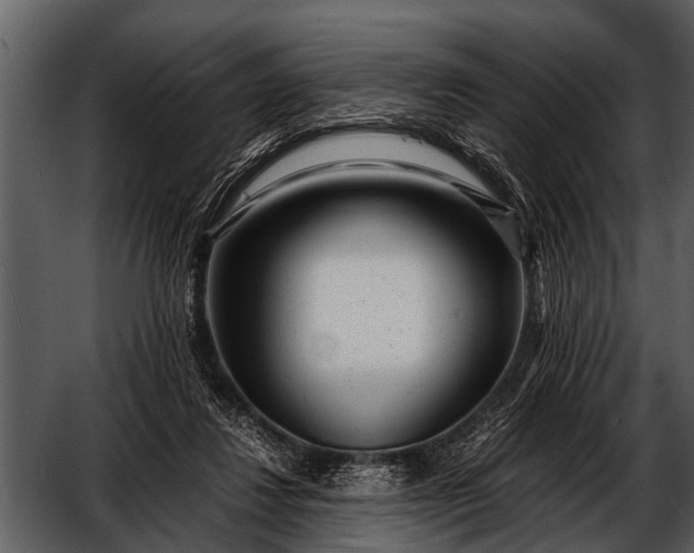 X0000052650260200507160231