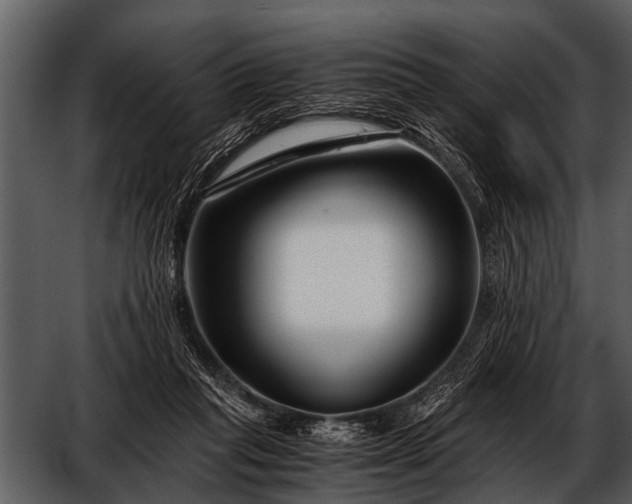 X0000052650261200507160231