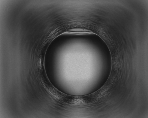 X0000052650262200507160231