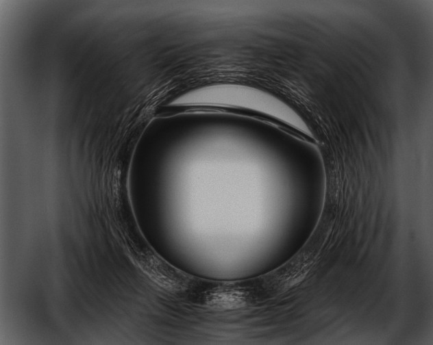 X0000052650263200507160231