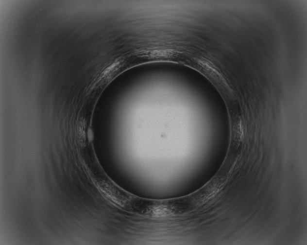 X0000052650264200507160231