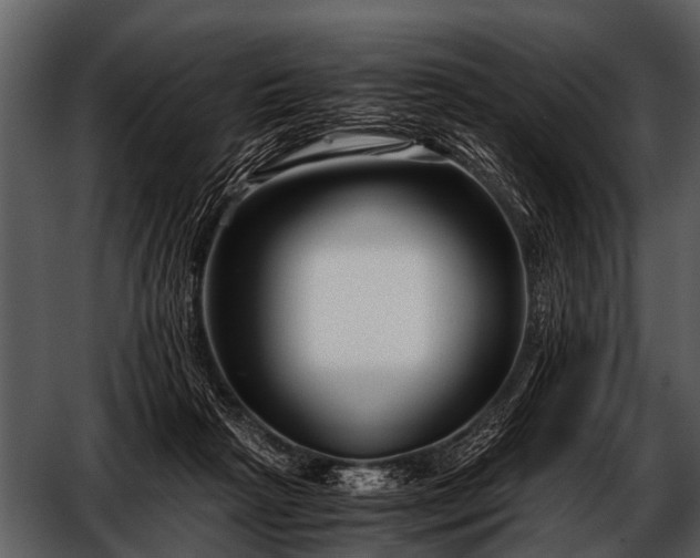 X0000052650265200507160231