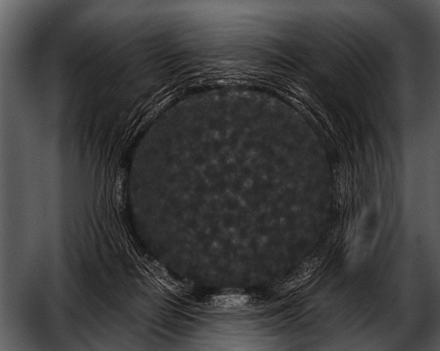 X0000052650266200507160231