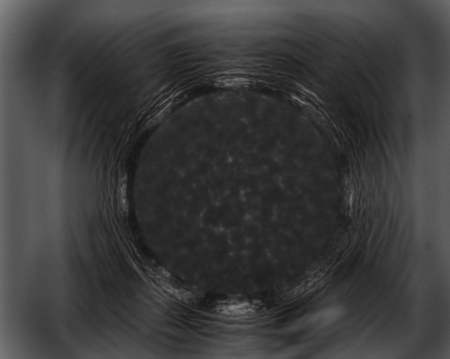 X0000052650267200507160231