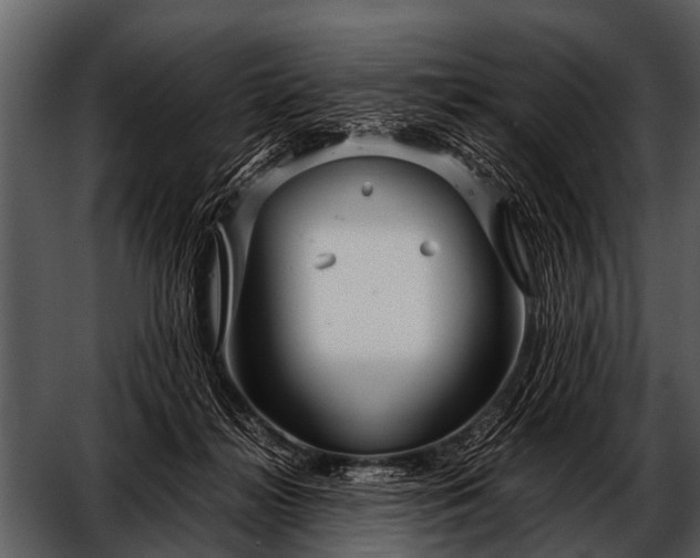 X0000052650268200507160231