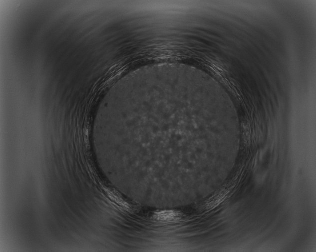 X0000052650269200507160231