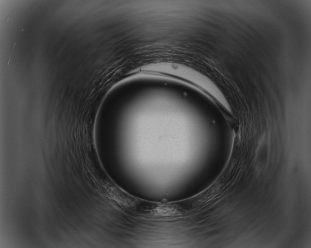 X0000052650270200507160231