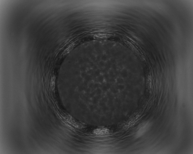 X0000052650271200507160231