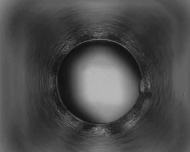 X0000052650272200507160231