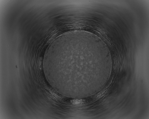 X0000052650273200507160231