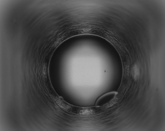 X0000052650274200507160231