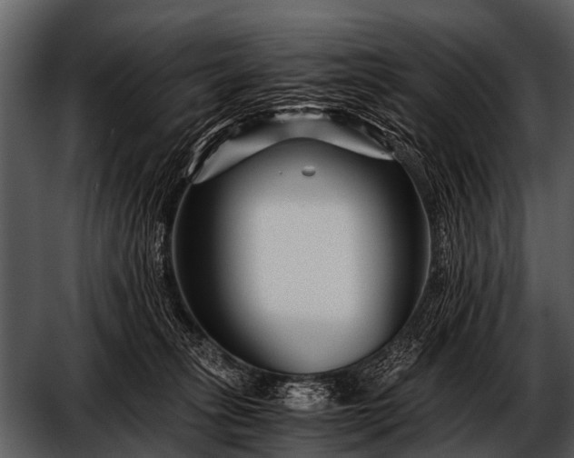 X0000052650275200507160231