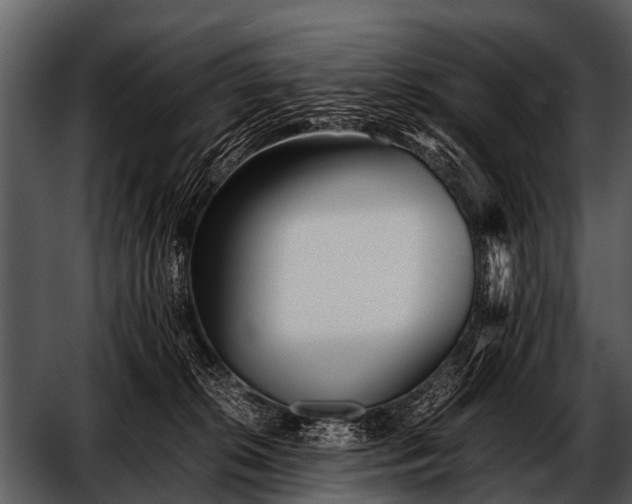 X0000052650276200507160231