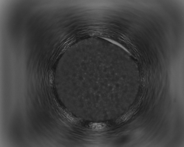 X0000052650277200507160231