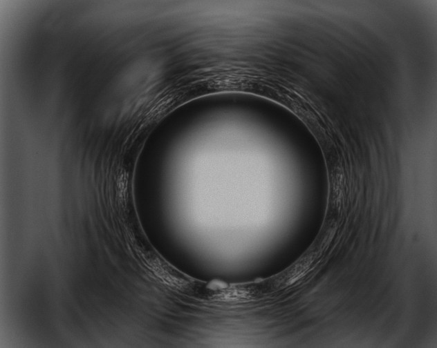 X0000052650278200507160231