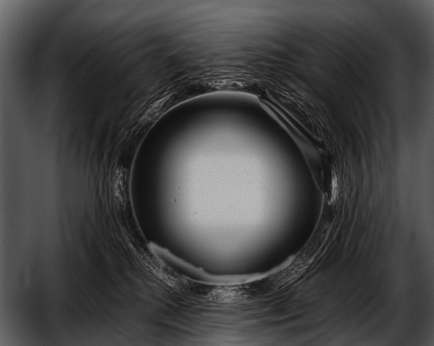 X0000052650280200507160231