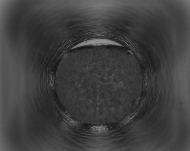 X0000052650281200507160231