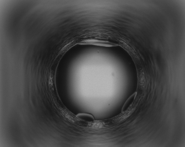 X0000052650282200507160231