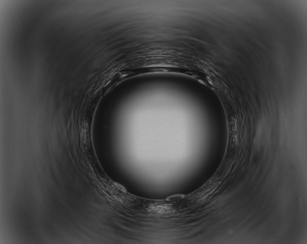 X0000052650283200507160231