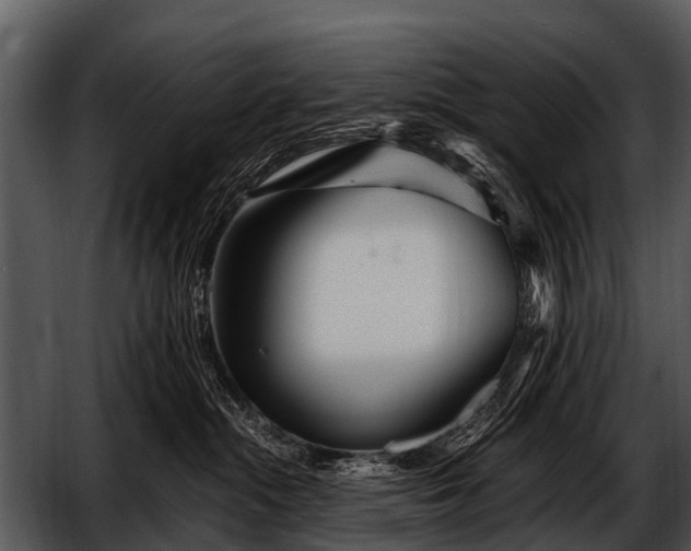 X0000052650284200507160231