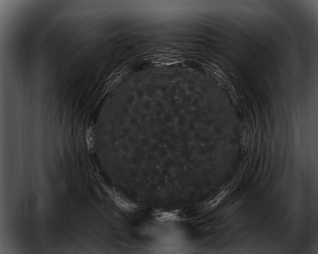 X0000052650285200507160231