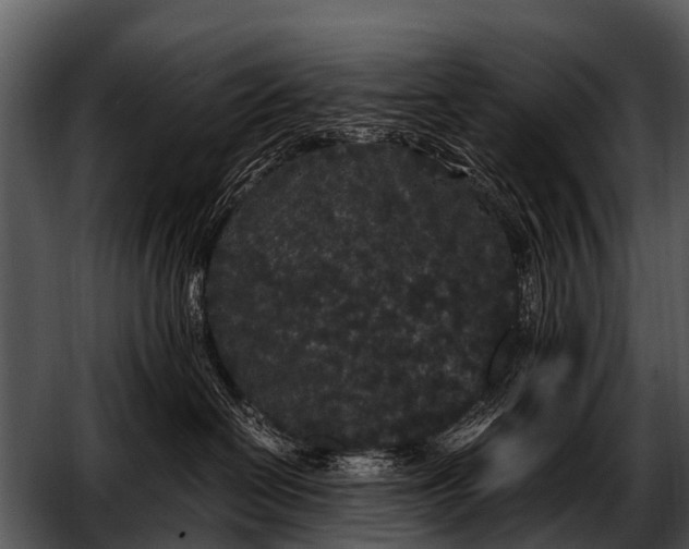 X0000052650286200507160231