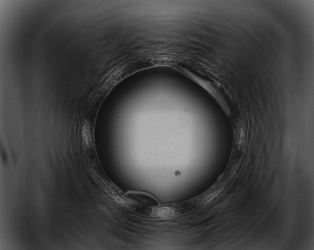 X0000052650287200507160231