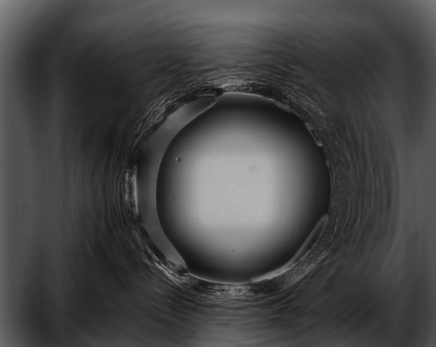 X0000052650288200507160231