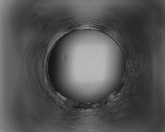 X0000052650289200507160230