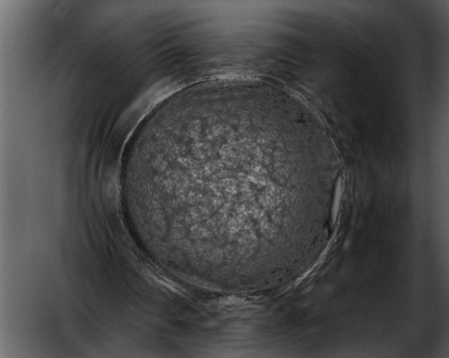 X0000052650290200507160230