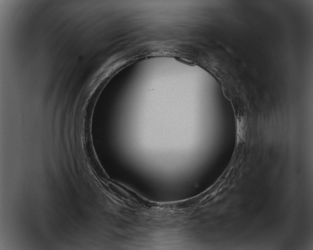 X0000052650291200507160230