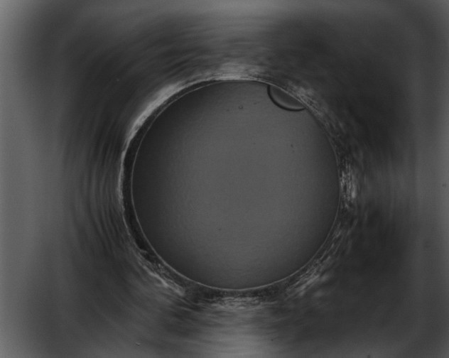 X0000052650292200507160230