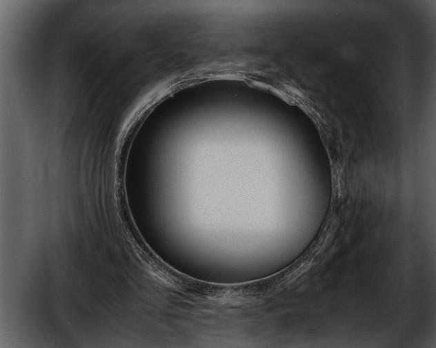 X0000052650293200507160230