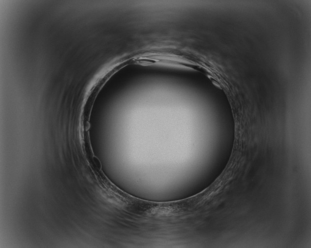 X0000052650294200507160230