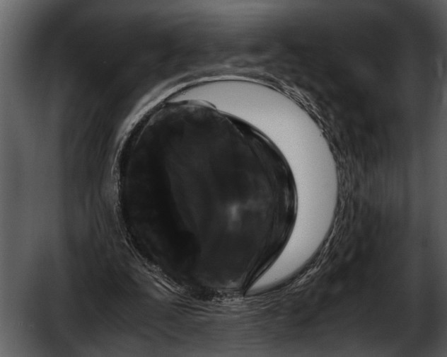 X0000052650295200507160230