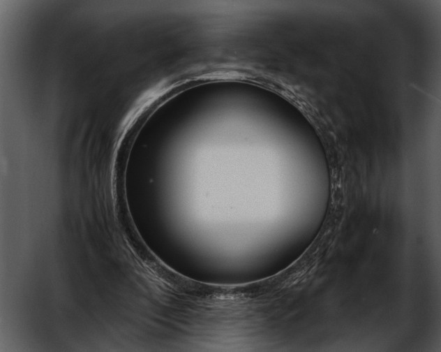 X0000052650296200507160230