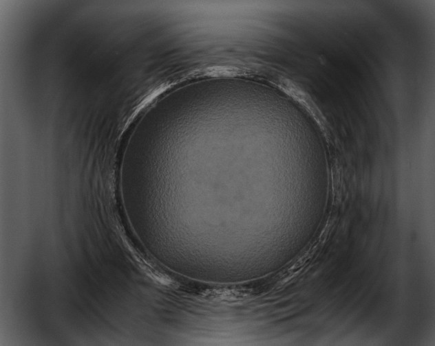 X0000052650297200507160230