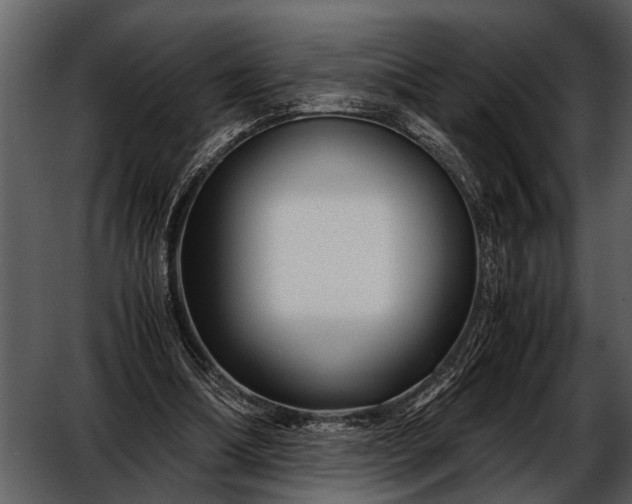 X0000052650298200507160230