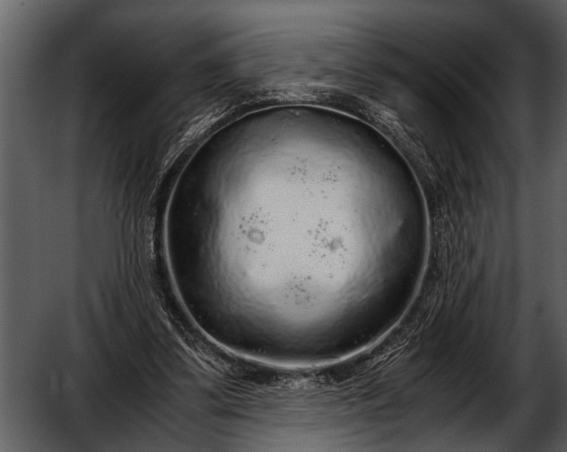 X0000052650299200507160230