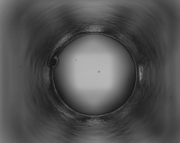 X0000052650300200507160230