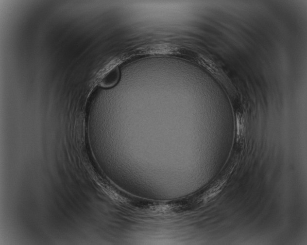 X0000052650301200507160230