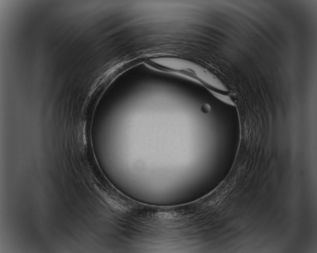 X0000052650302200507160230