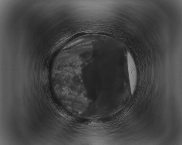 X0000052650303200507160230