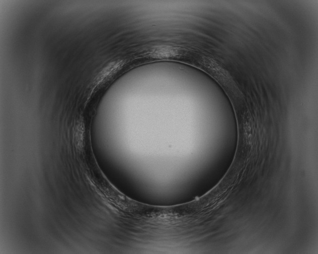 X0000052650304200507160230