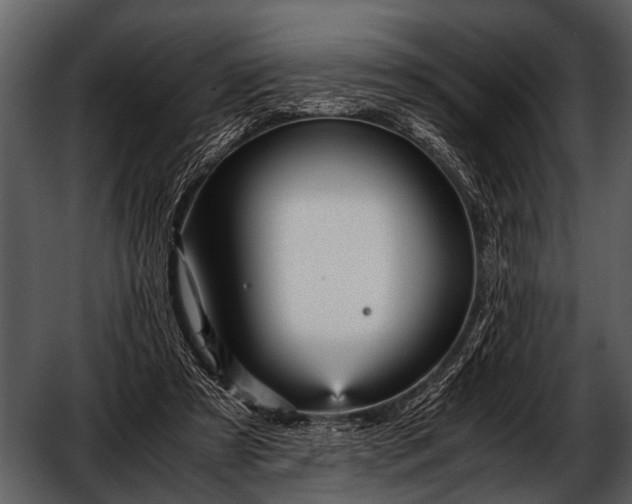 X0000052650305200507160230