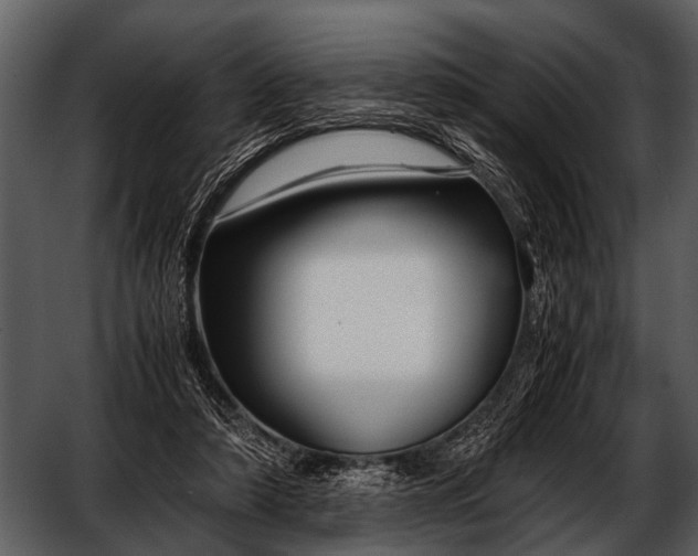 X0000052650306200507160230