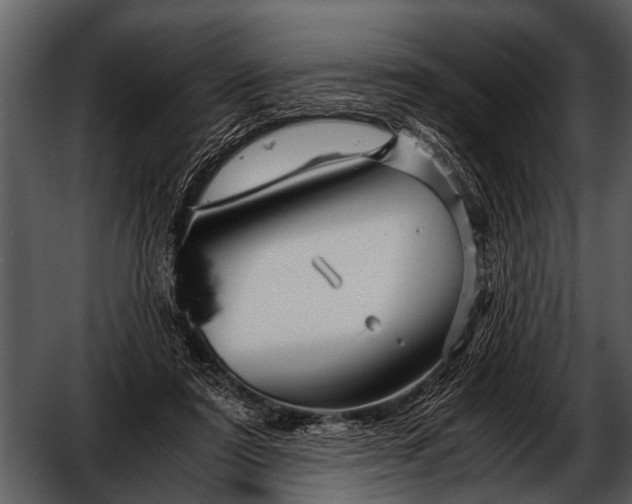 X0000052650307200507160230