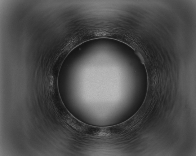 X0000052650308200507160230