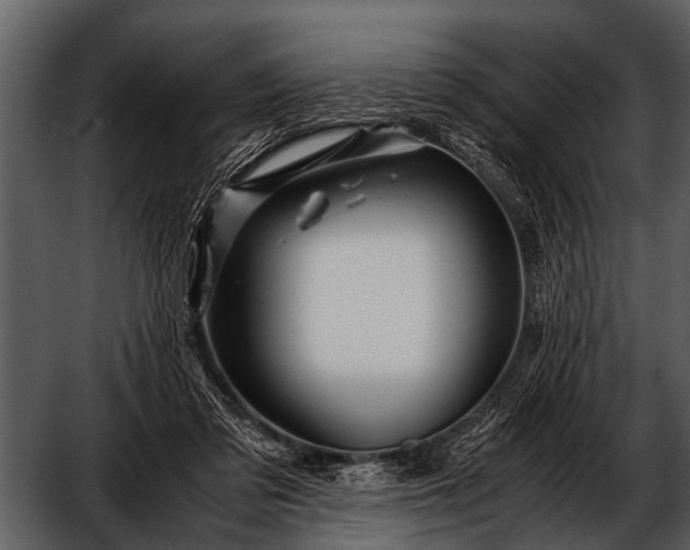 X0000052650309200507160230