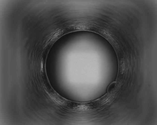 X0000052650310200507160230